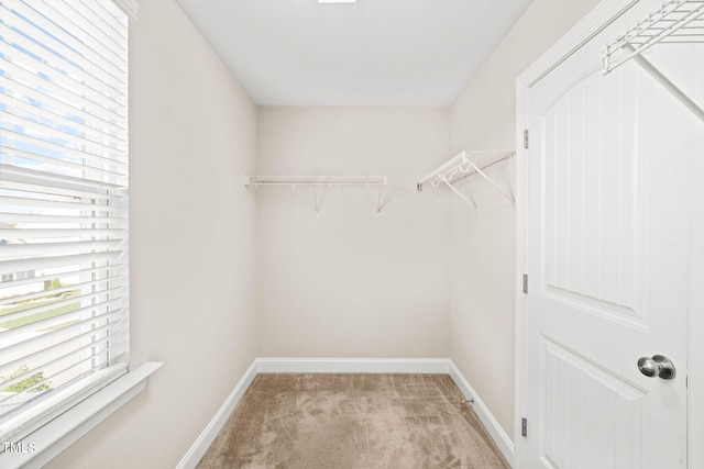 4508 Brintons Cottage St, Raleigh, NC 27616 - spacious closet featuring light colored carpet