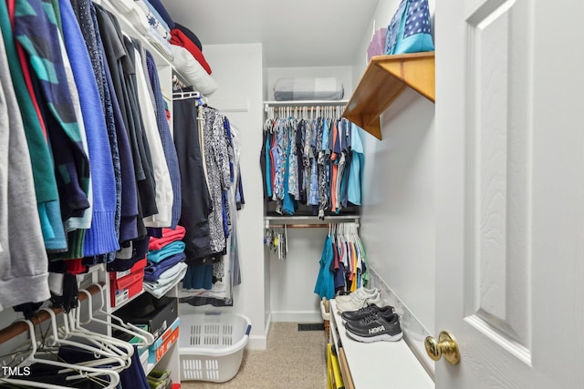 view of spacious closet