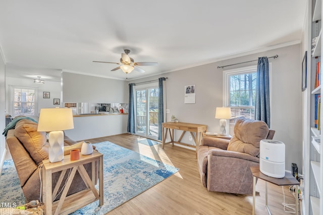 living room featuring crown molding, ceiling fan, light wood-style flooring, and a healthy amount of sunlight