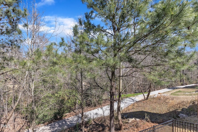 205 Virginia Water Dr, Rolesville, NC 27571 - photo 55