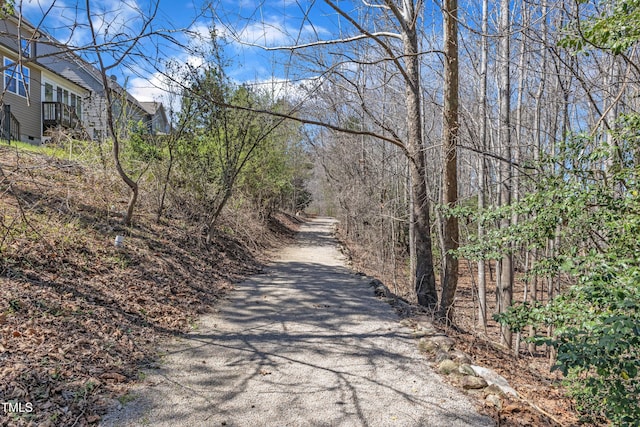 205 Virginia Water Dr, Rolesville, NC 27571 - photo 56