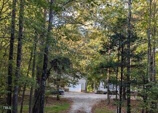 view of street featuring driveway