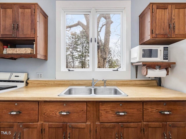 kitchen featuring a wealth of natural light, light countertops, a sink, and white microwave