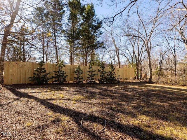 view of yard featuring fence