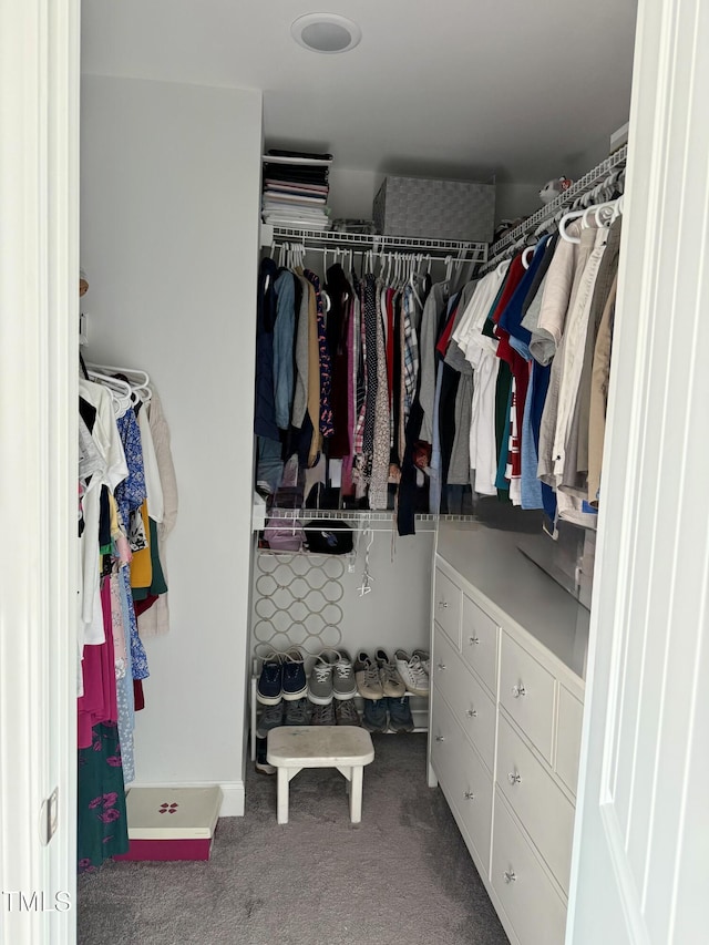 walk in closet with carpet flooring