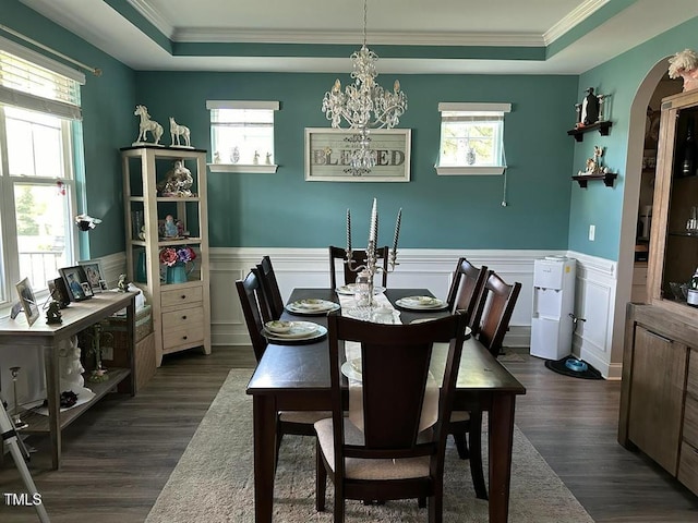 dining area with a tray ceiling, a wealth of natural light, and wainscoting