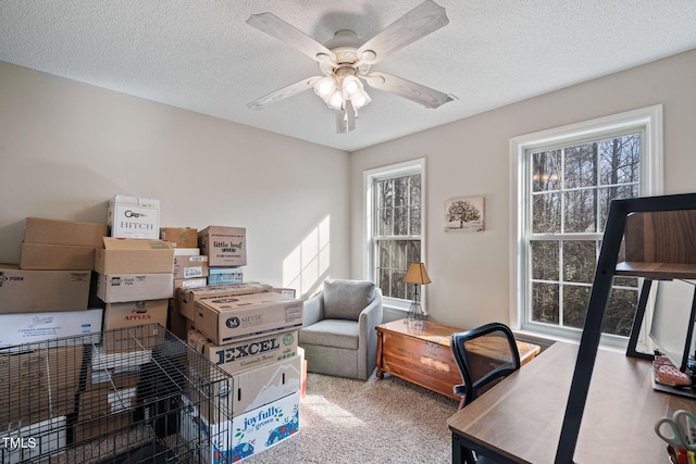 carpeted office with a ceiling fan and a textured ceiling