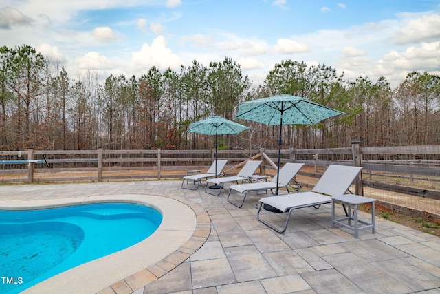 view of swimming pool with a patio, a fenced backyard, and a fenced in pool