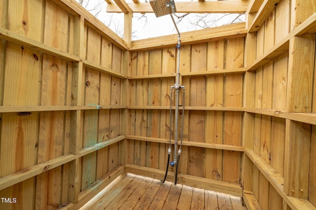 storage room with a skylight