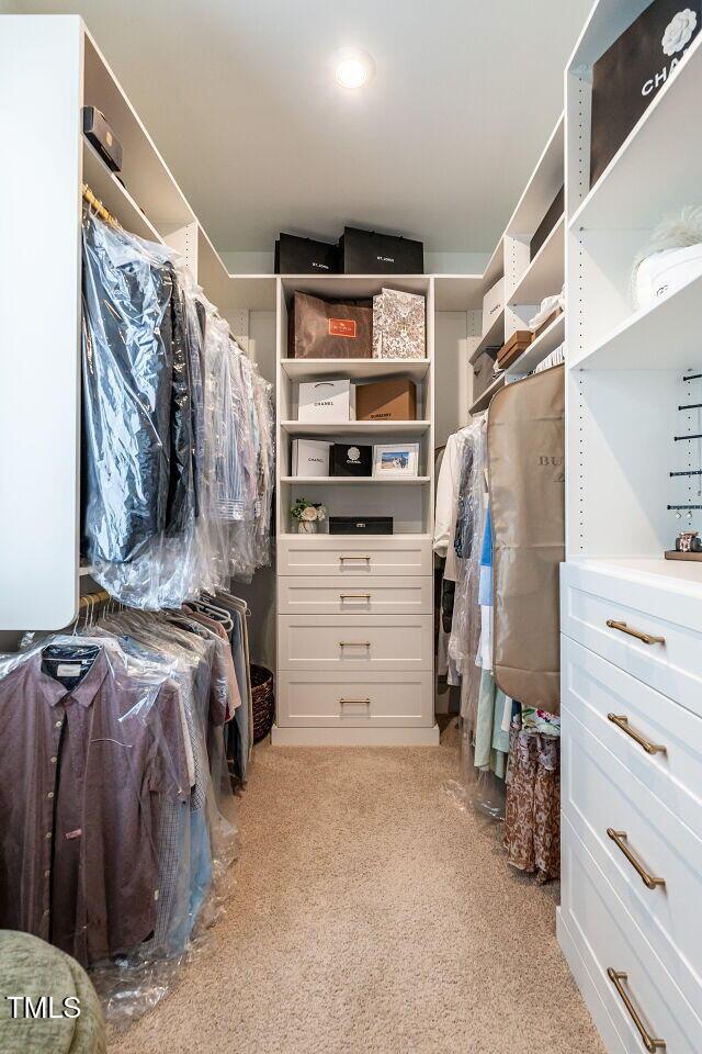 spacious closet featuring carpet flooring