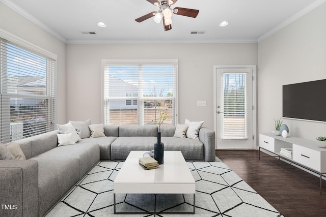 living area featuring ceiling fan, wood finished floors, visible vents, and crown molding