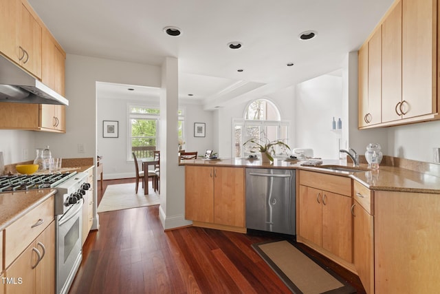 kitchen with a sink, under cabinet range hood, light stone countertops, dark wood-type flooring, and stainless steel appliances