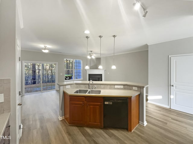 kitchen featuring open floor plan, light countertops, dishwasher, and a sink