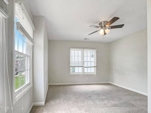 5317 Tifton Dr, Raleigh, NC 27610 - photo 17