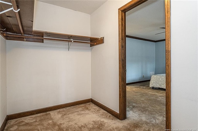 spacious closet with carpet floors