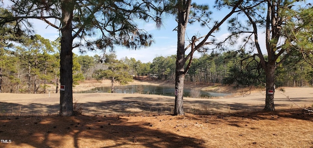 view of nature featuring a water view