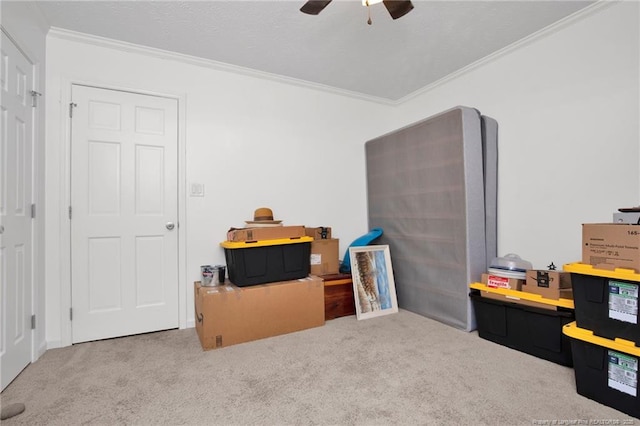 bedroom featuring carpet floors, a ceiling fan, and crown molding