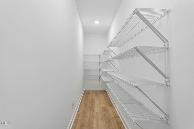 walk in closet featuring wood finished floors