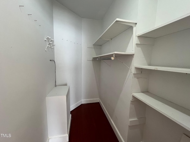 walk in closet featuring wood finished floors