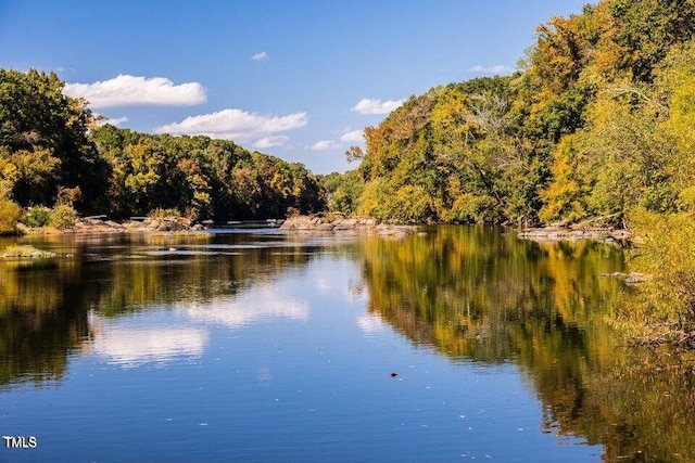 water view with a forest view