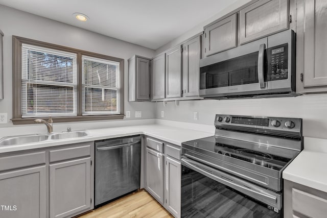 kitchen featuring stainless steel appliances, gray cabinets, and a sink