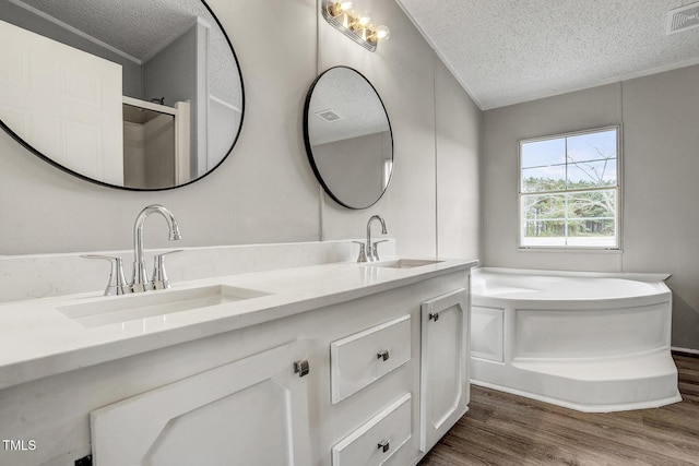 bathroom featuring a sink, a textured ceiling, and wood finished floors