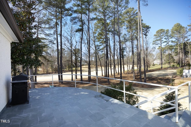 view of yard featuring a patio area