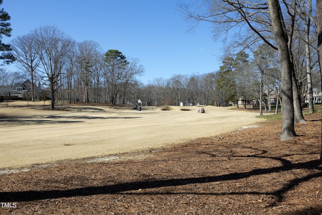 view of home's community featuring dirt driveway