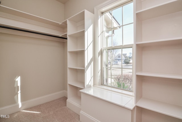 spacious closet featuring carpet floors