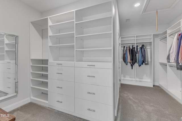 walk in closet featuring visible vents, attic access, and carpet floors