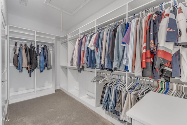 spacious closet featuring attic access, carpet, and visible vents