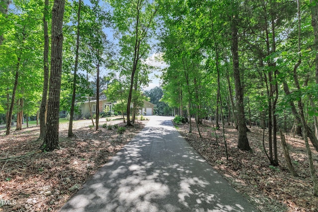 view of road featuring driveway