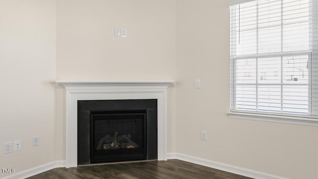 interior details with baseboards, wood finished floors, and a glass covered fireplace