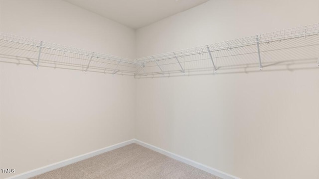 spacious closet with carpet floors