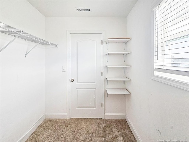 spacious closet with carpet and visible vents