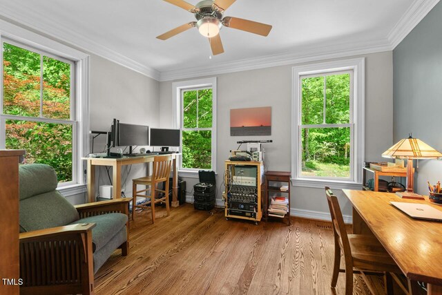 home office with wood finished floors, crown molding, baseboards, and ceiling fan