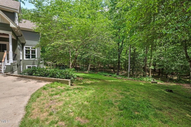 view of green lawn