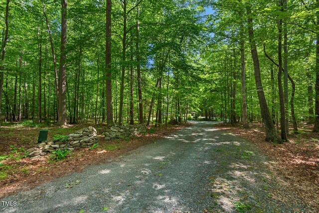 view of dirt / gravel road with a wooded view