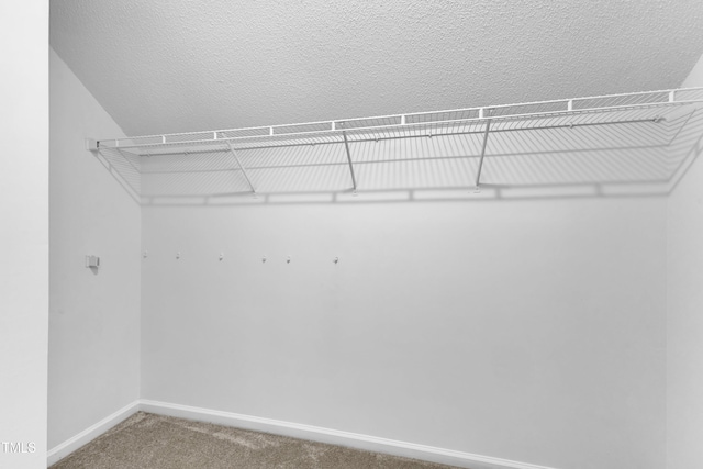 410 Oak Run Dr, Raleigh, NC 27606 - walk in closet featuring carpet