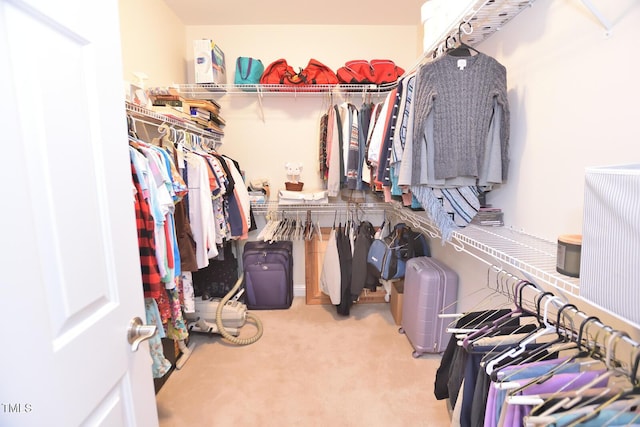 walk in closet with light carpet