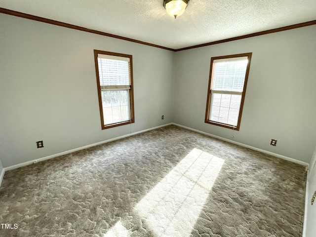 carpeted spare room featuring a textured ceiling, ornamental molding, and a wealth of natural light