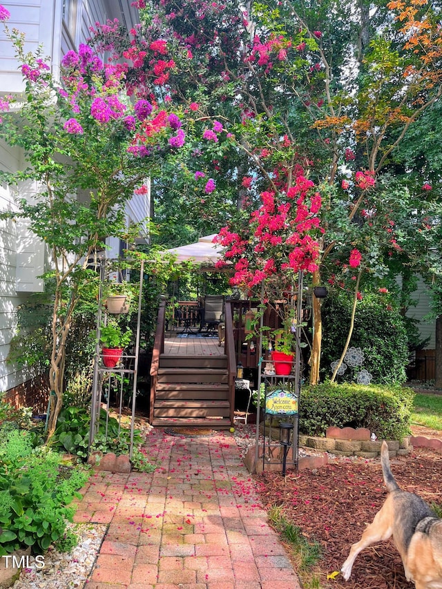 view of patio with a deck