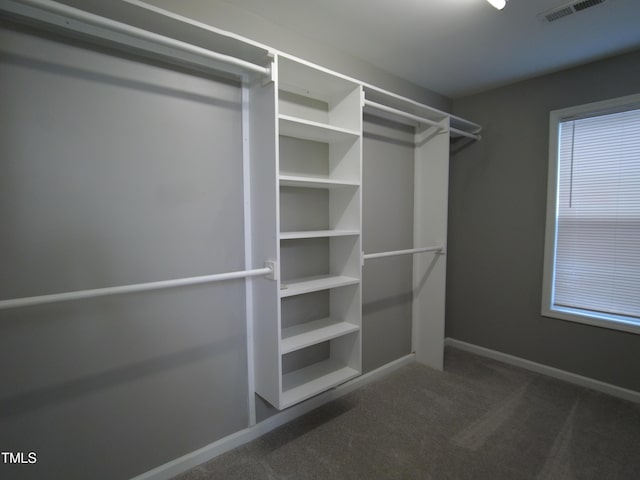 spacious closet featuring visible vents and carpet flooring