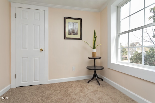 interior space featuring carpet, baseboards, and ornamental molding