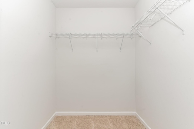 spacious closet with light carpet