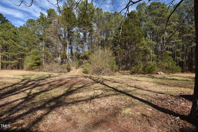 view of local wilderness with a wooded view