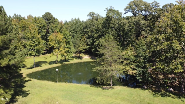 view of water feature