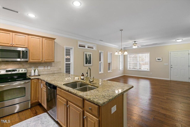 kitchen featuring open floor plan, appliances with stainless steel finishes, a sink, and dark wood-style floors