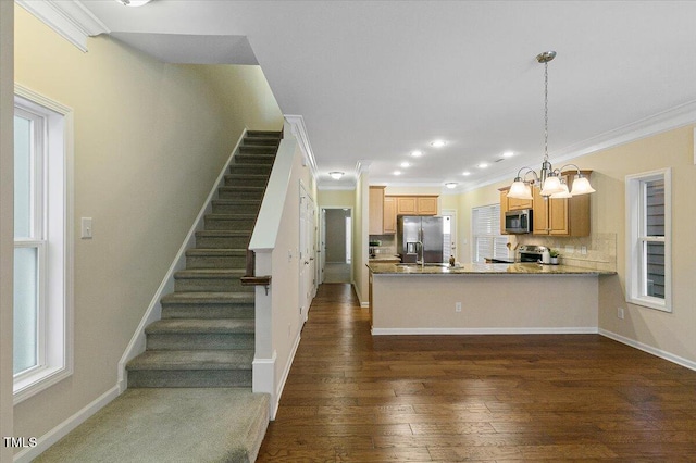 kitchen with appliances with stainless steel finishes, dark wood finished floors, a peninsula, and ornamental molding