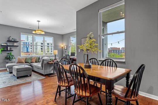 dining space featuring wood finished floors, a wealth of natural light, and baseboards